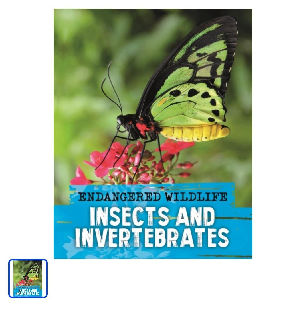 Insects and Inveribrates