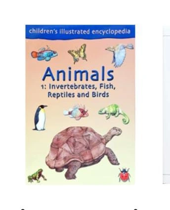 Chiuldren Illustrated Animal