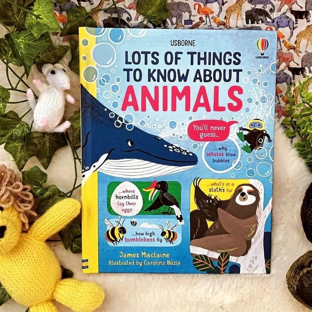 Usborne Lot of Things to Know About Animals